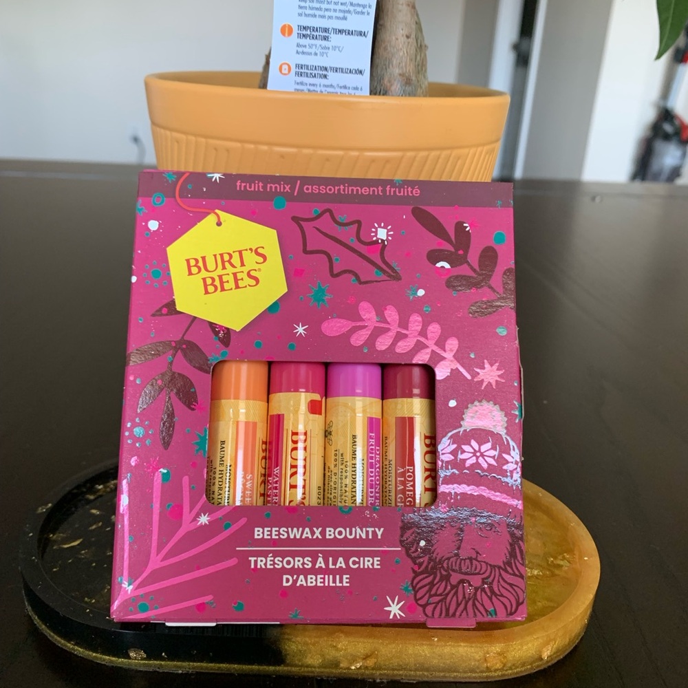 Burt’s Bees Beeswax Lip Balm Sets